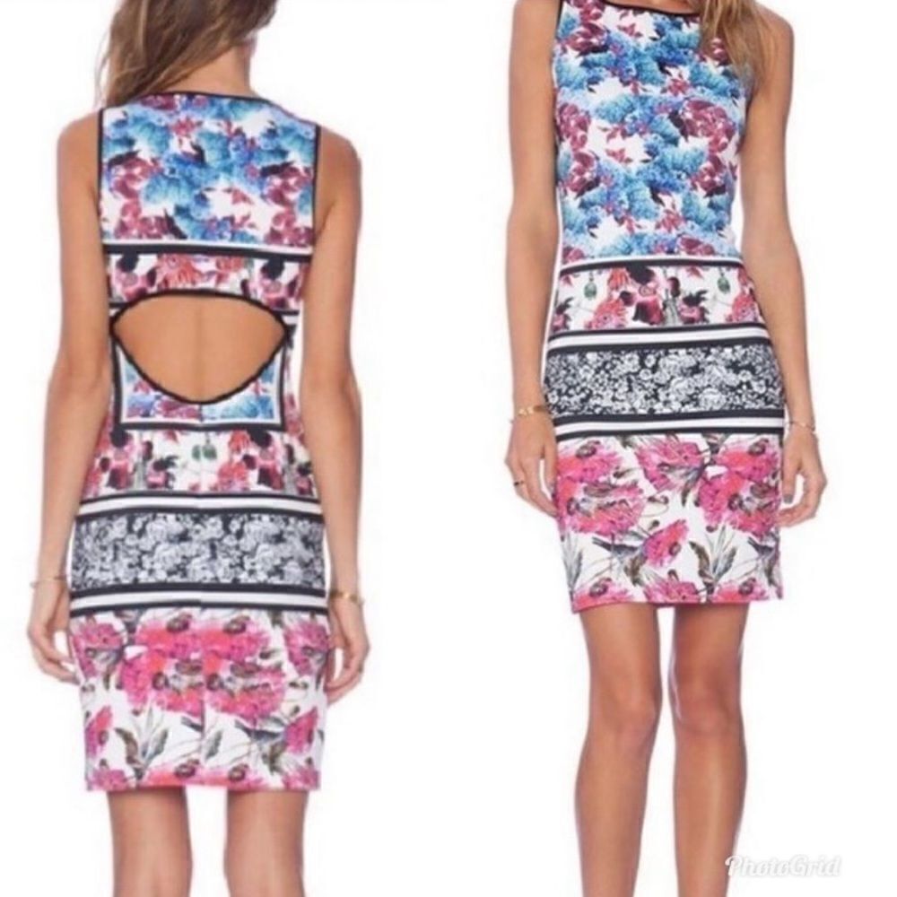 Revolve Clover Canyon Floral Garden Scarf Dress in Multi